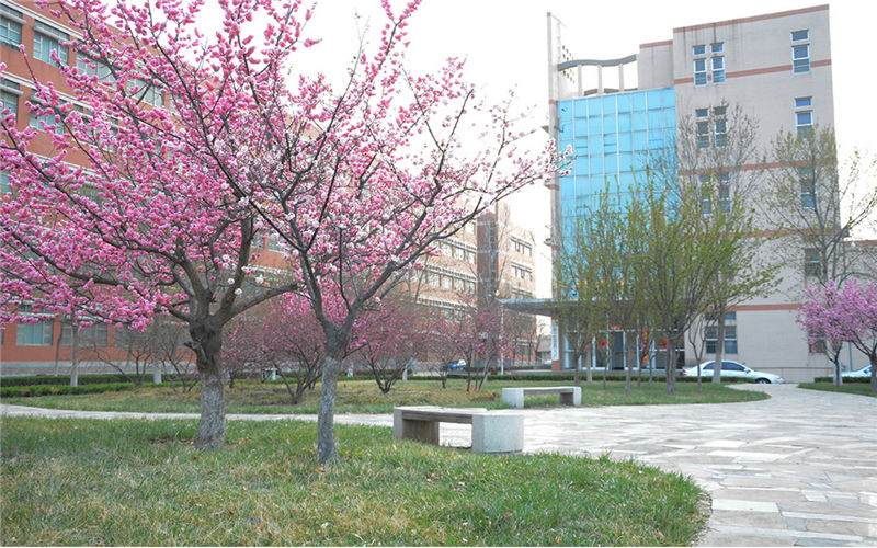 山东石油化工学院