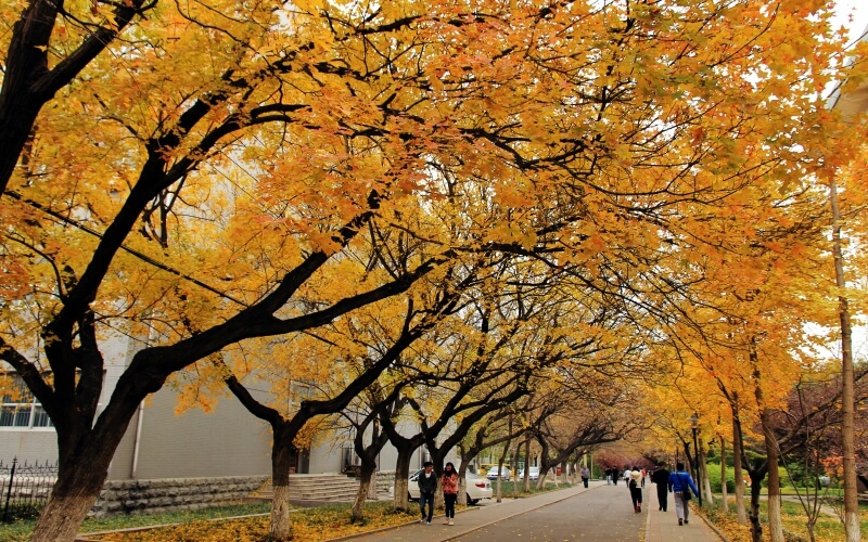 山东师范大学