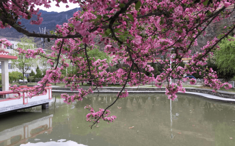 四川民族学院