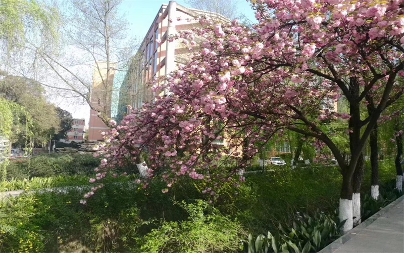 四川师范大学