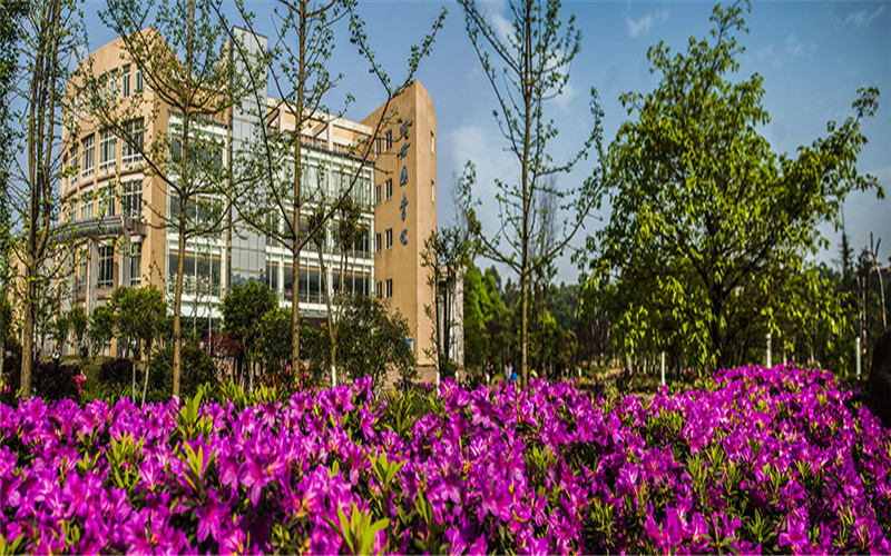 乐山师范学院