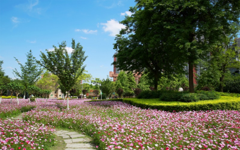 成都中医药大学