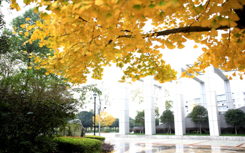 成都中医药大学