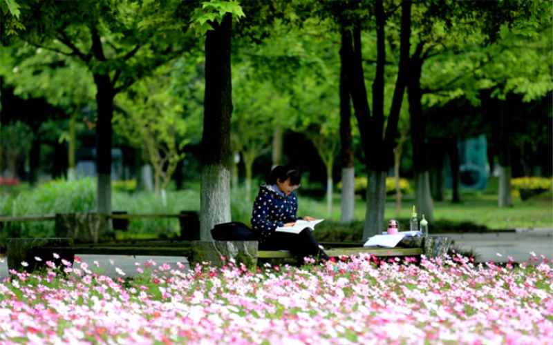 成都中医药大学