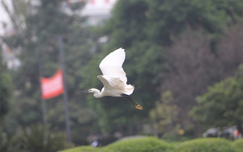 西南石油大学