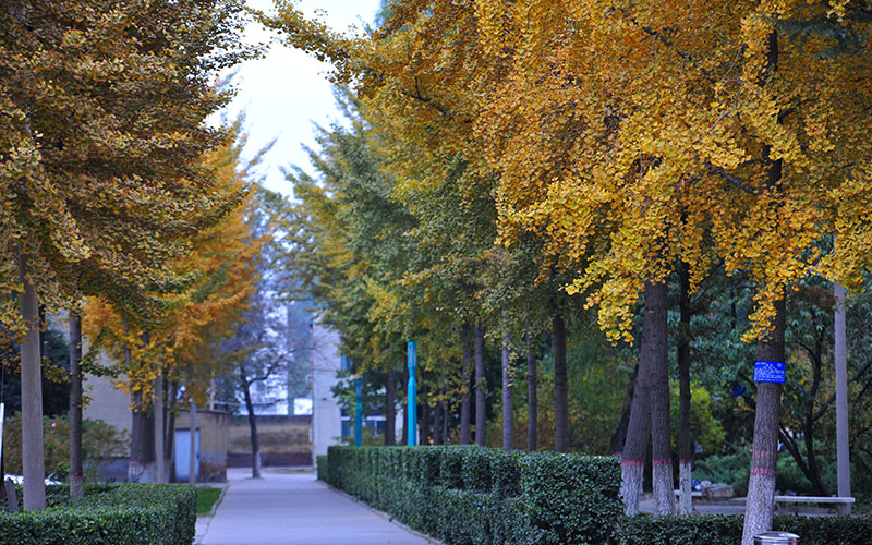 河北大学