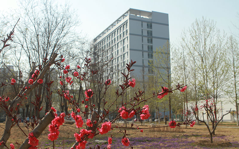 河北金融学院