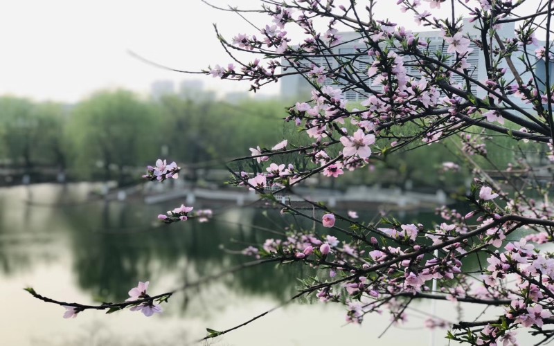 河北科技大学