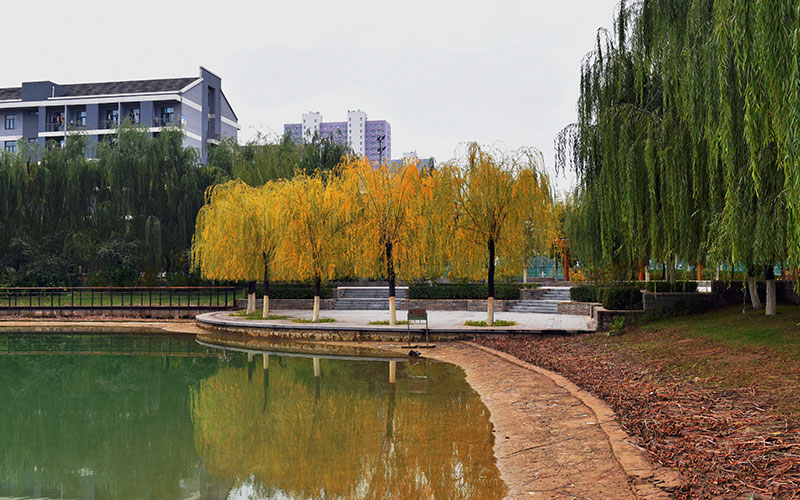 河北师范大学