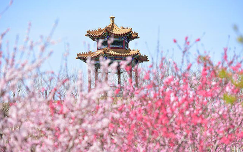 天津中医药大学