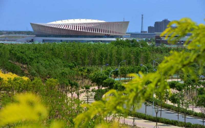 天津中医药大学