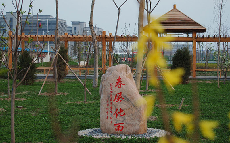 天津师范大学津沽学院