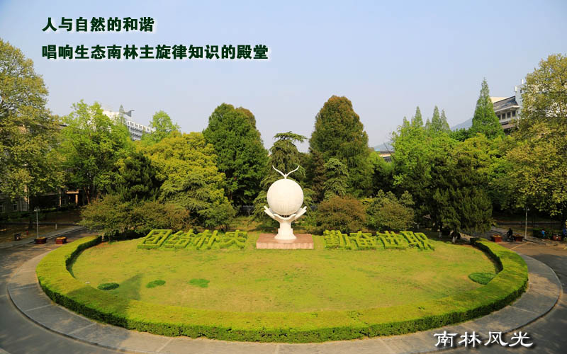 南京林业大学