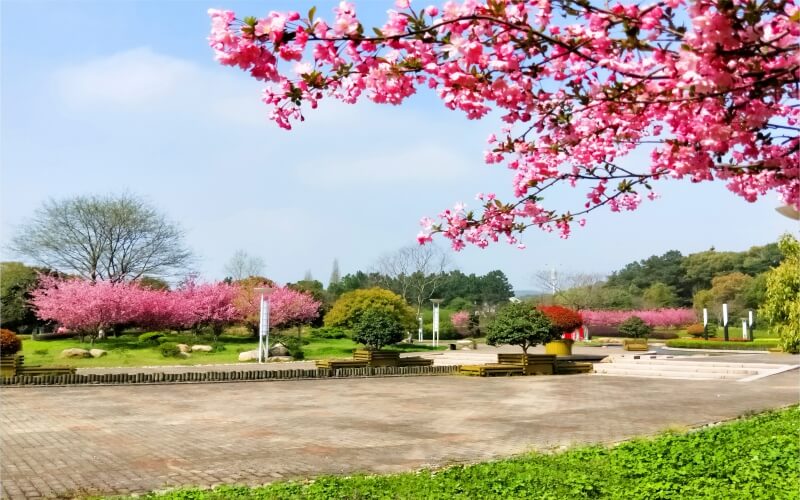 无锡太湖学院