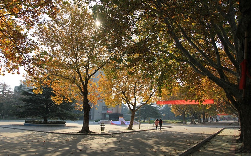 江苏师范大学