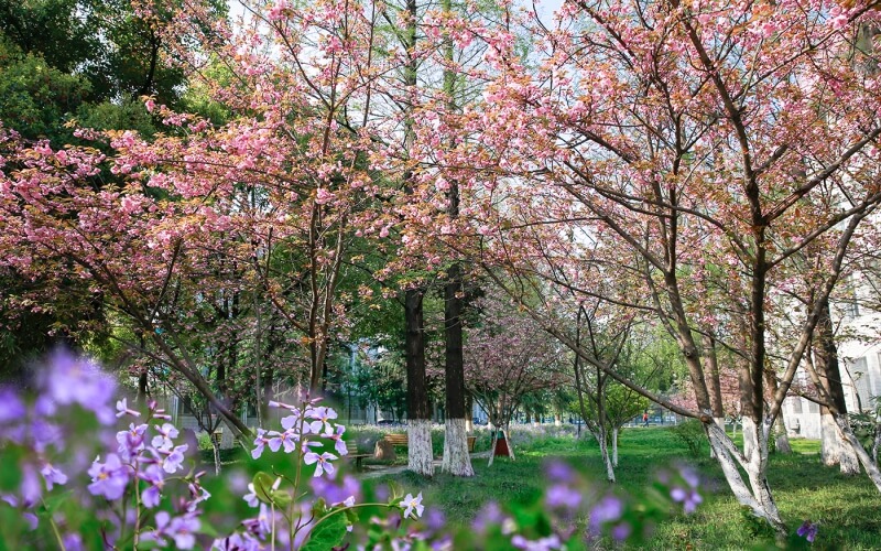 江苏科技大学