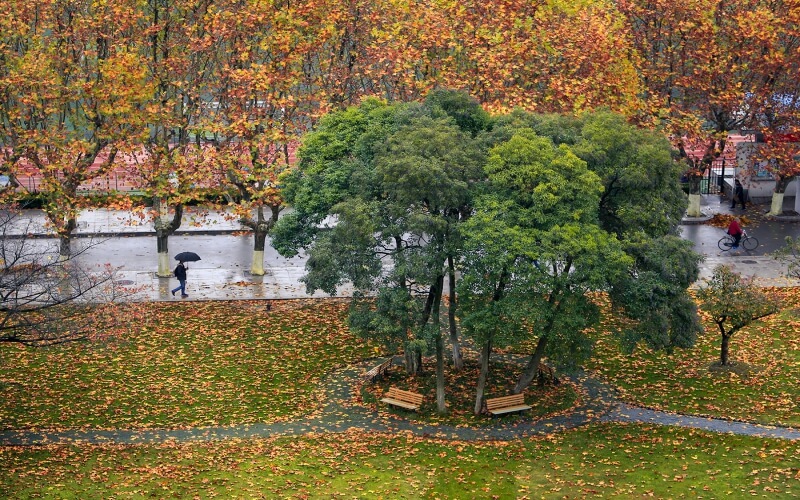 江苏科技大学