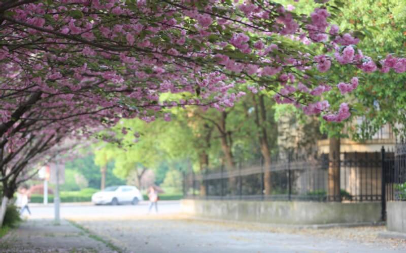 南京中医药大学