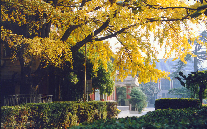 南京师范大学