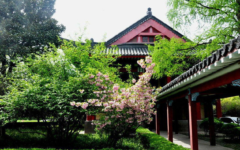 南京师范大学