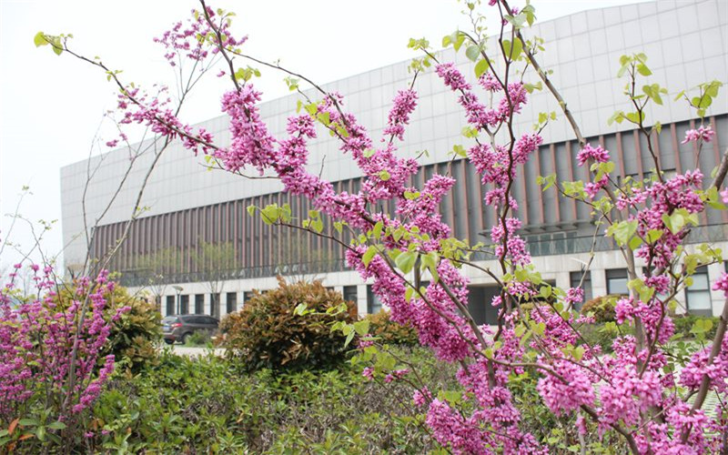 合肥学院