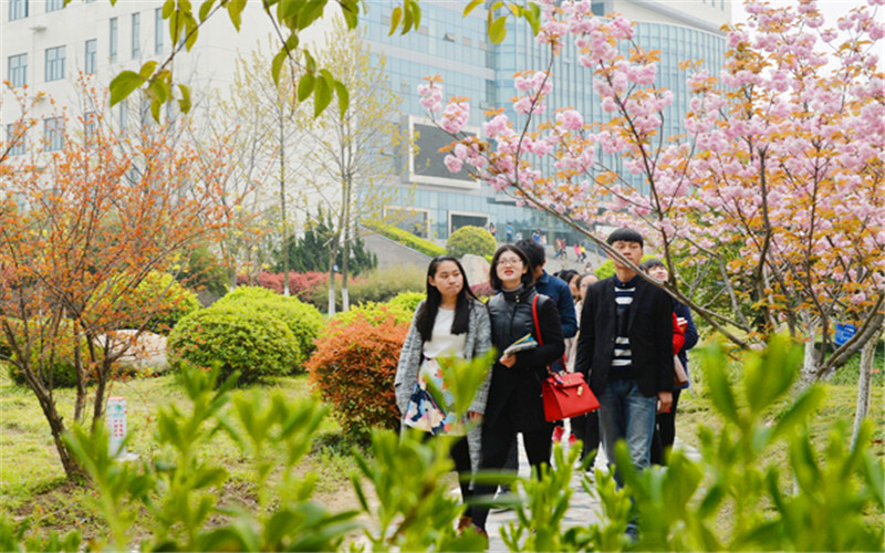 合肥师范学院