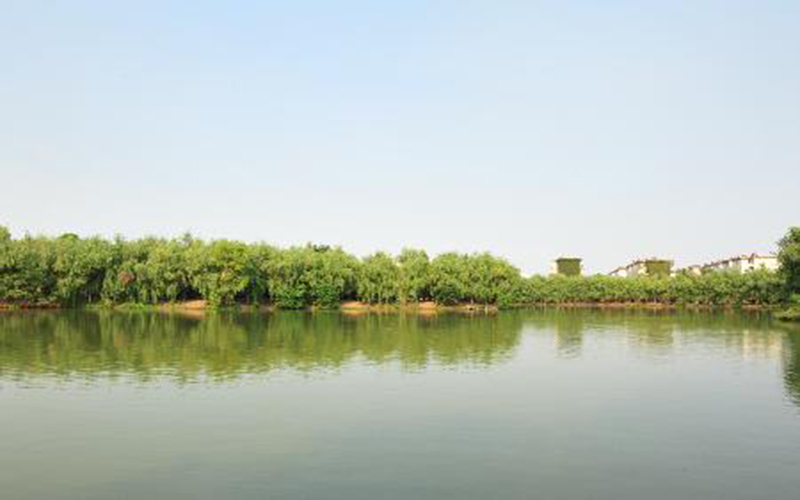 淮南师范学院