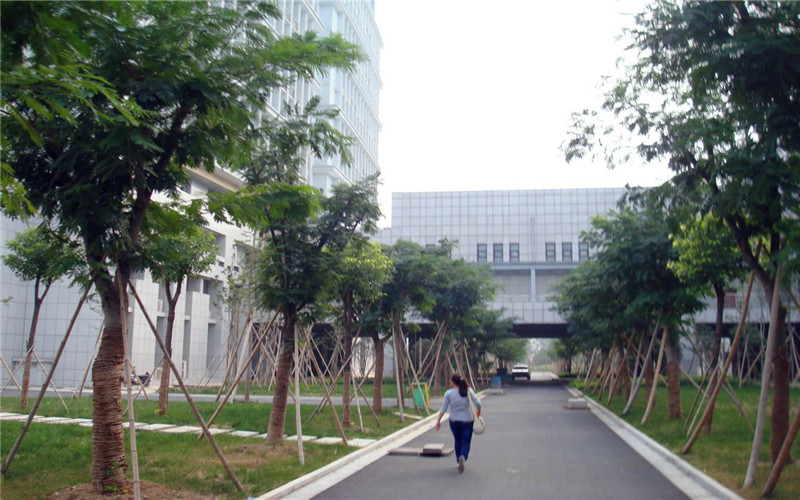 阜阳师范大学