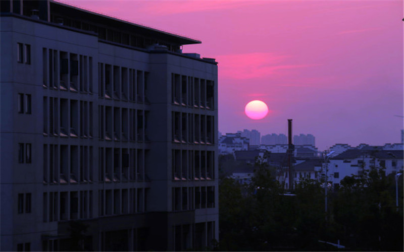 安徽中医药大学