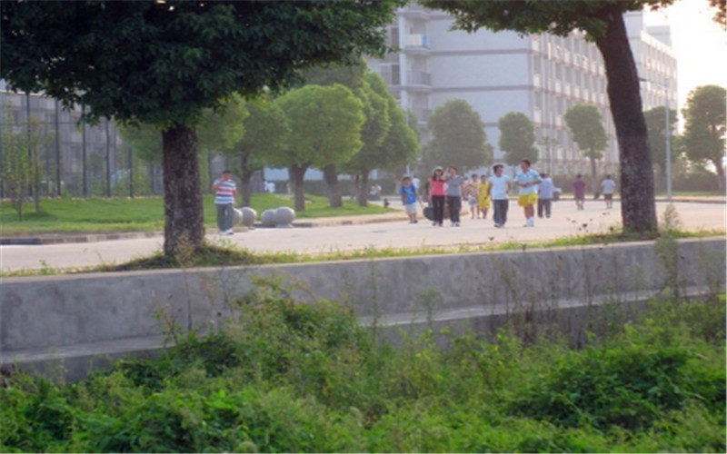 铜陵学院