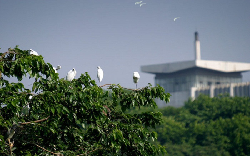 合肥工业大学