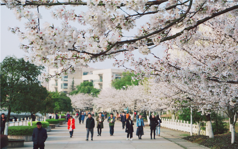 湖北经济学院