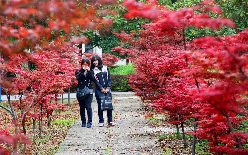 黄冈师范学院