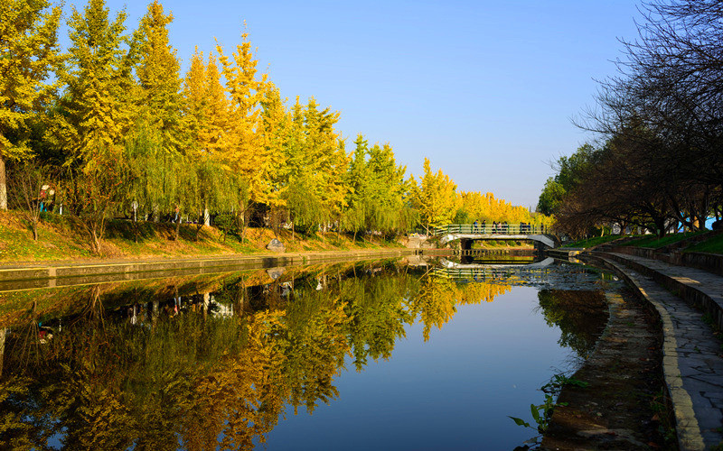 三峡大学