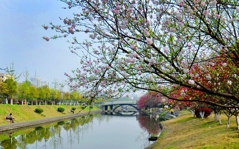 三峡大学