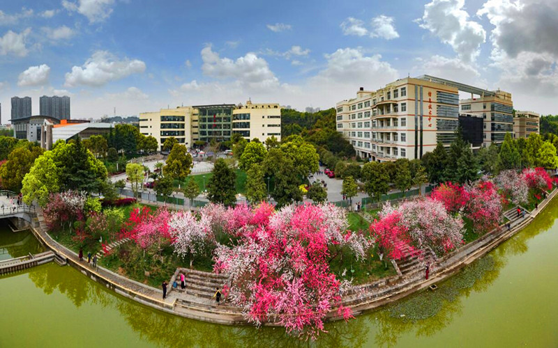 三峡大学