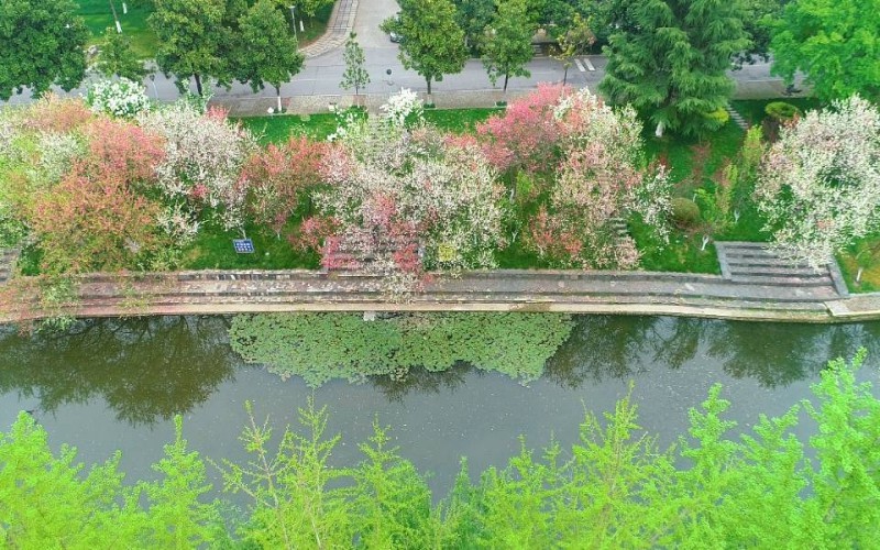 三峡大学