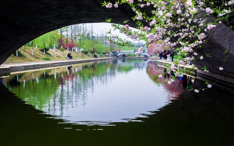 三峡大学