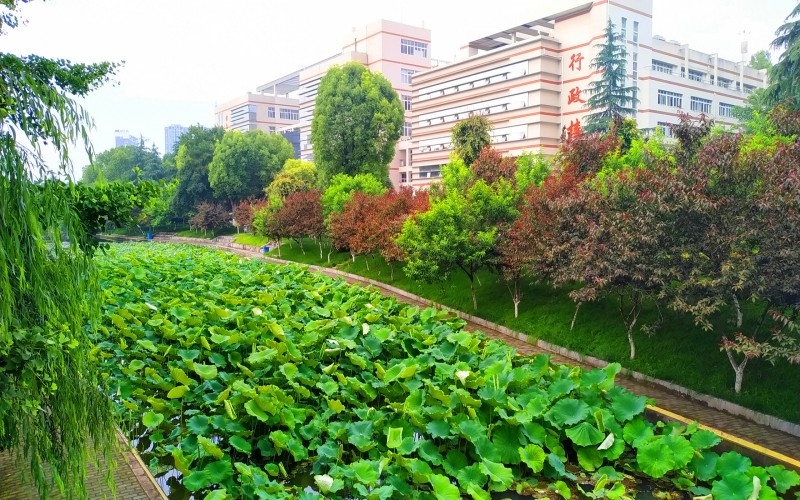 三峡大学