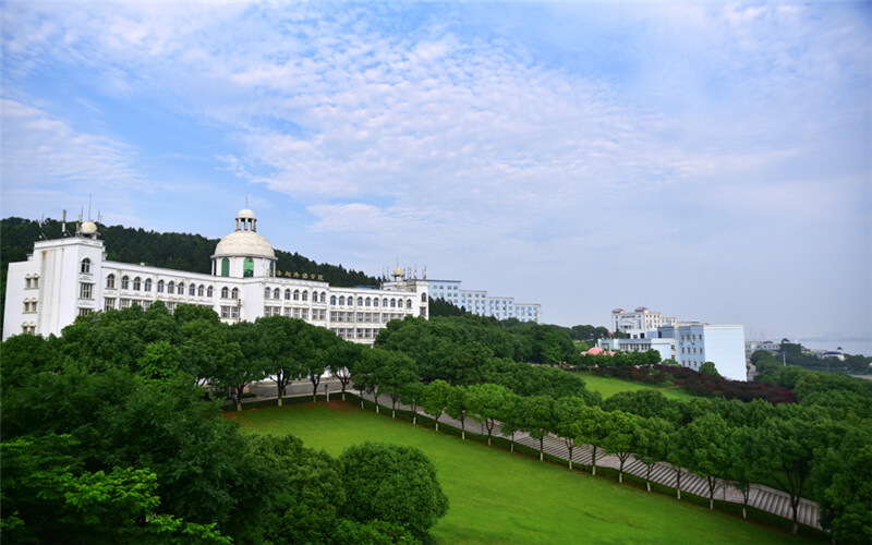 武昌理工学院