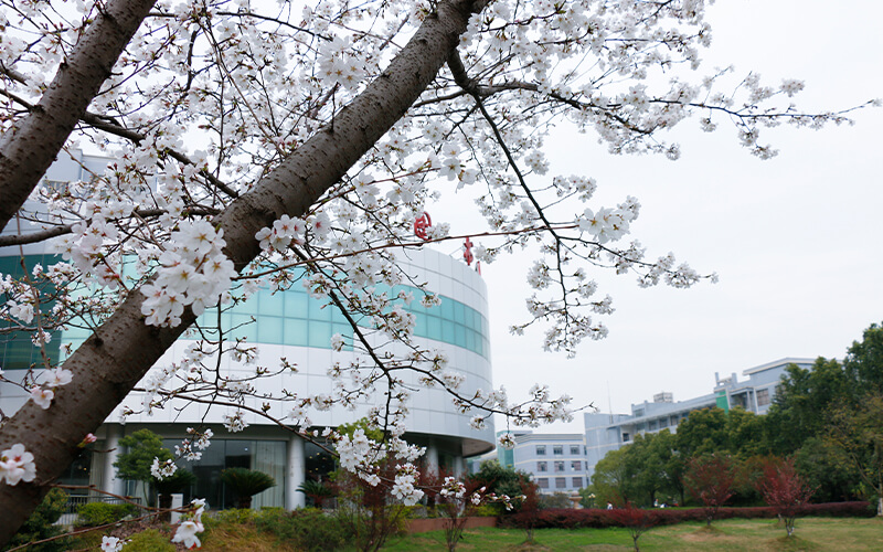 武汉工程大学