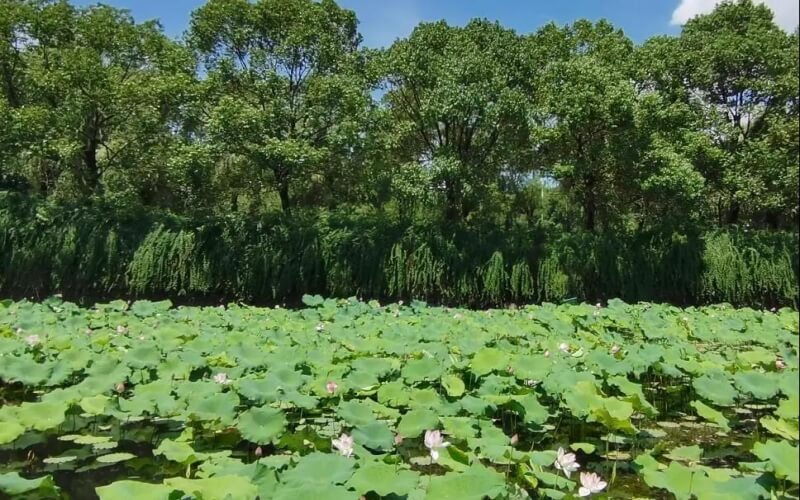 湖北第二师范学院