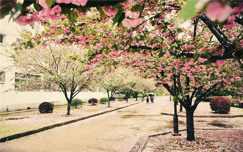 湖北师范大学