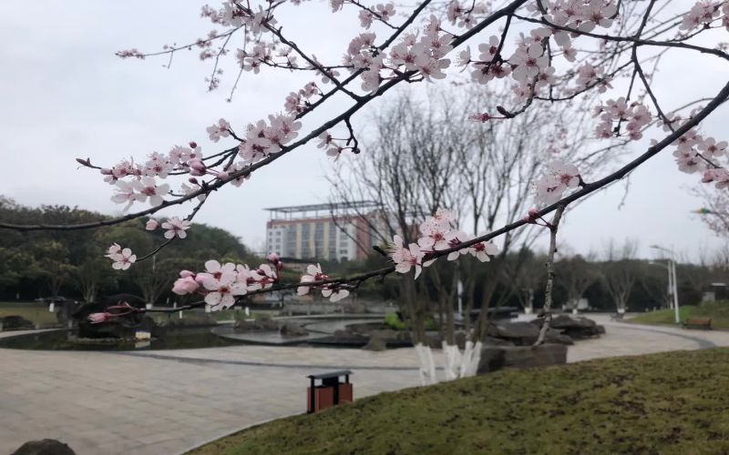 长江师范学院