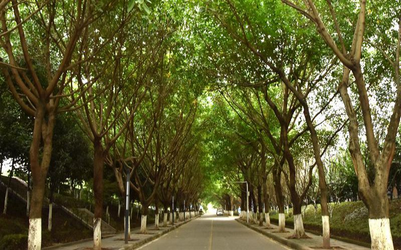 长江师范学院