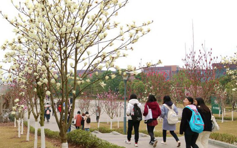 长江师范学院