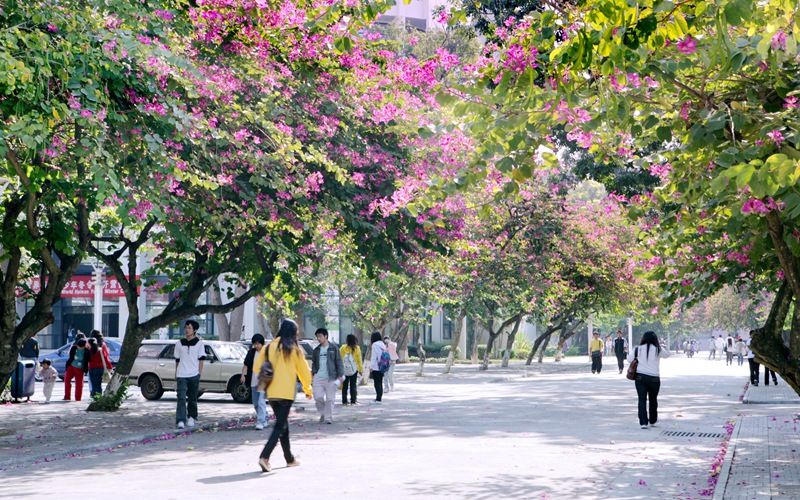 海南师范大学