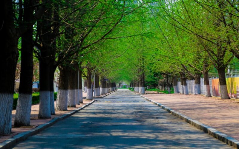 辽东学院