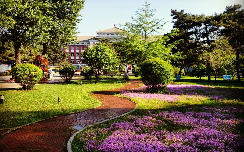 沈阳药科大学