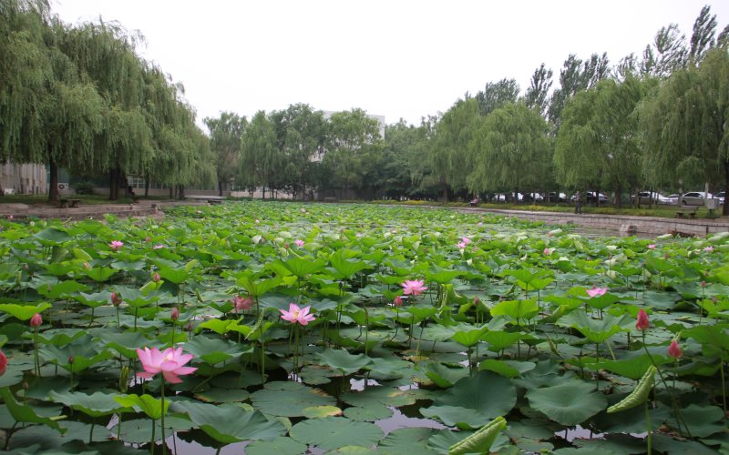 沈阳师范大学